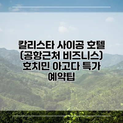 칼리스타 사이공 호텔 (공항근처 비즈니스) 호치민 아고다 특가 예약팁