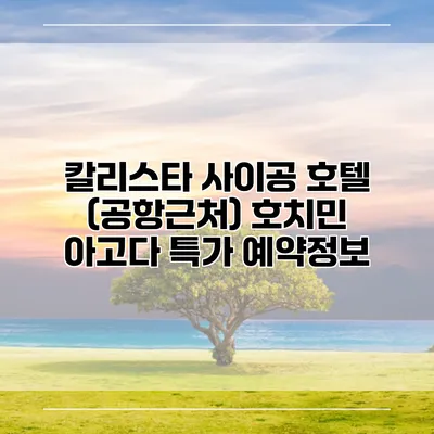 칼리스타 사이공 호텔 (공항근처) 호치민 아고다 특가 예약정보