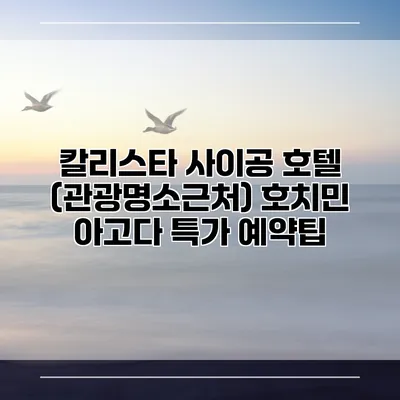 칼리스타 사이공 호텔 (관광명소근처) 호치민 아고다 특가 예약팁