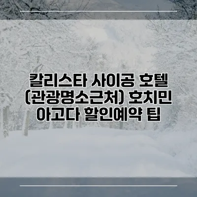 칼리스타 사이공 호텔 (관광명소근처) 호치민 아고다 할인예약 팁
