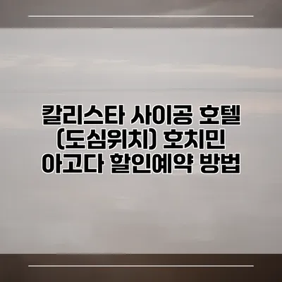 칼리스타 사이공 호텔 (도심위치) 호치민 아고다 할인예약 방법