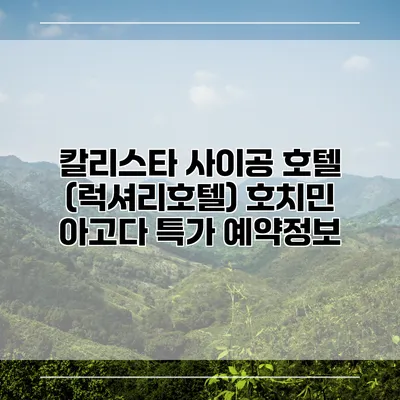 칼리스타 사이공 호텔 (럭셔리호텔) 호치민 아고다 특가 예약정보