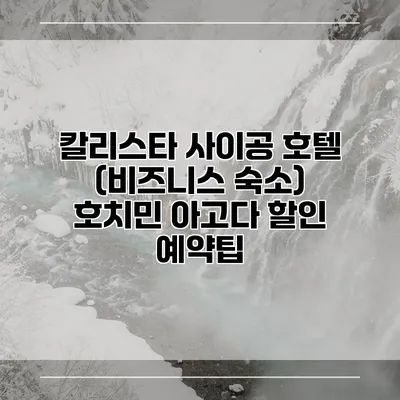 칼리스타 사이공 호텔 (비즈니스 숙소) 호치민 아고다 할인 예약팁