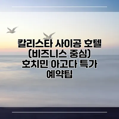 칼리스타 사이공 호텔 (비즈니스 중심) 호치민 아고다 특가 예약팁