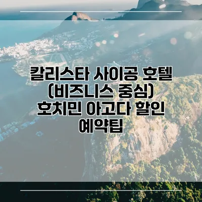 칼리스타 사이공 호텔 (비즈니스 중심) 호치민 아고다 할인 예약팁