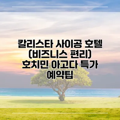 칼리스타 사이공 호텔 (비즈니스 편리) 호치민 아고다 특가 예약팁