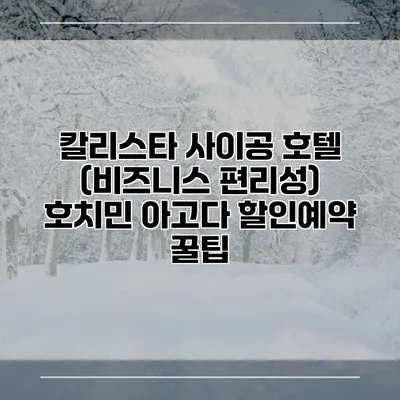 칼리스타 사이공 호텔 (비즈니스 편리성) 호치민 아고다 할인예약 꿀팁