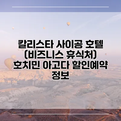 칼리스타 사이공 호텔 (비즈니스 휴식처) 호치민 아고다 할인예약 정보