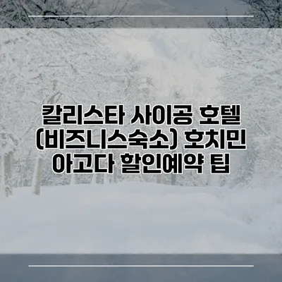 칼리스타 사이공 호텔 (비즈니스숙소) 호치민 아고다 할인예약 팁