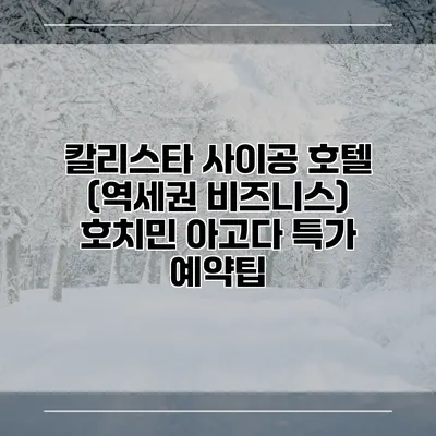 칼리스타 사이공 호텔 (역세권 비즈니스) 호치민 아고다 특가 예약팁