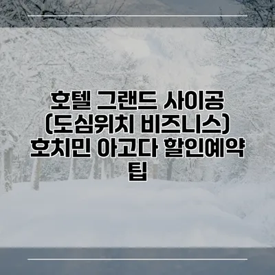 호텔 그랜드 사이공 (도심위치 비즈니스) 호치민 아고다 할인예약 팁