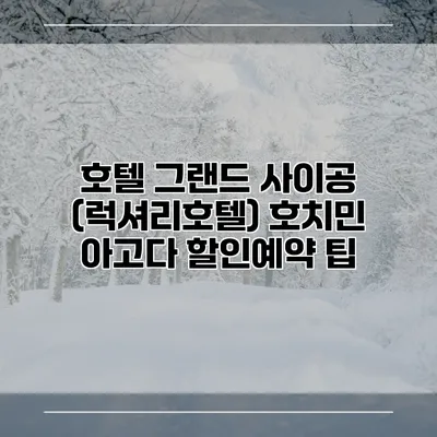 호텔 그랜드 사이공 (럭셔리호텔) 호치민 아고다 할인예약 팁