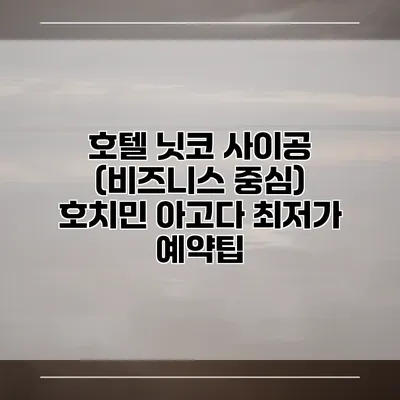 호텔 닛코 사이공 (비즈니스 중심) 호치민 아고다 최저가 예약팁